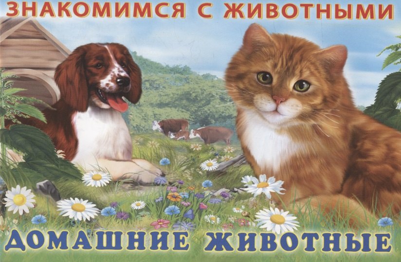 

Домашние животные