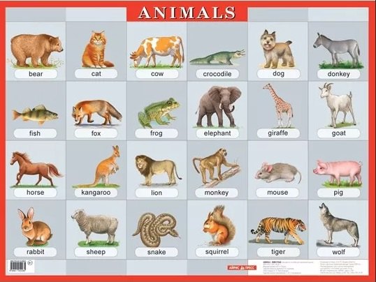 

Животные. Animals. Наглядное пособие по англ.яз.