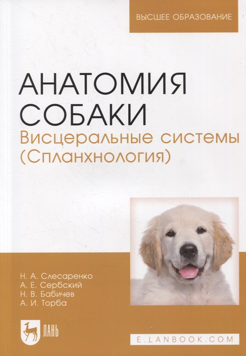 

Анатомия собаки. Висцеральные системы (Спланхнология)