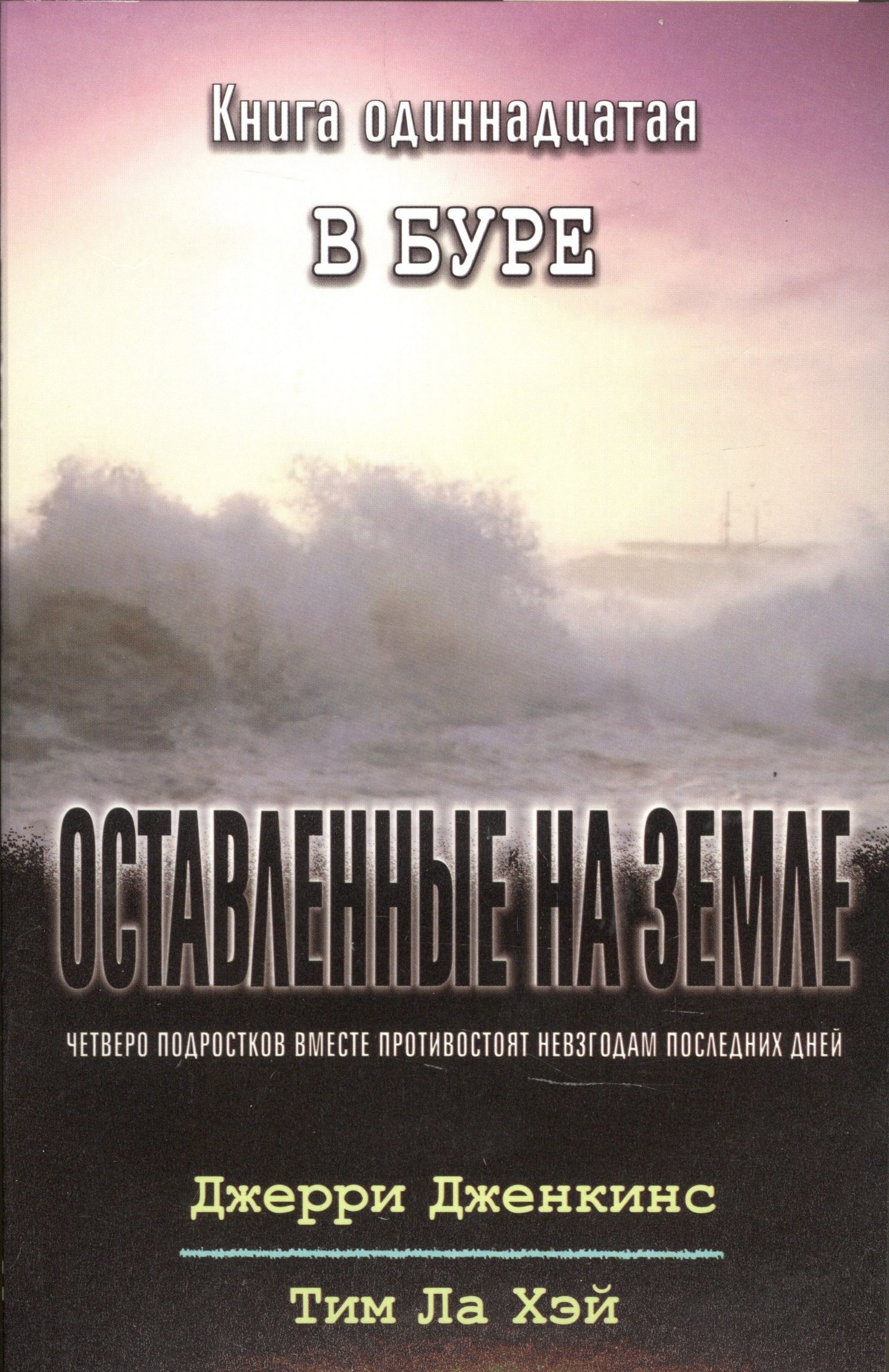 

Оставленные на земле. Книга 11. В буре