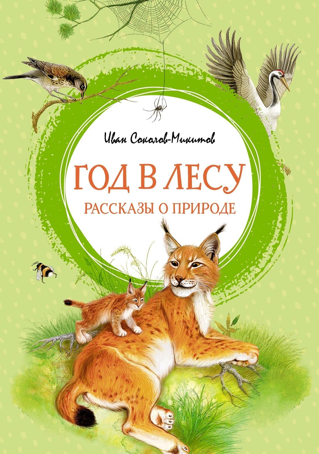 

Год в лесу
