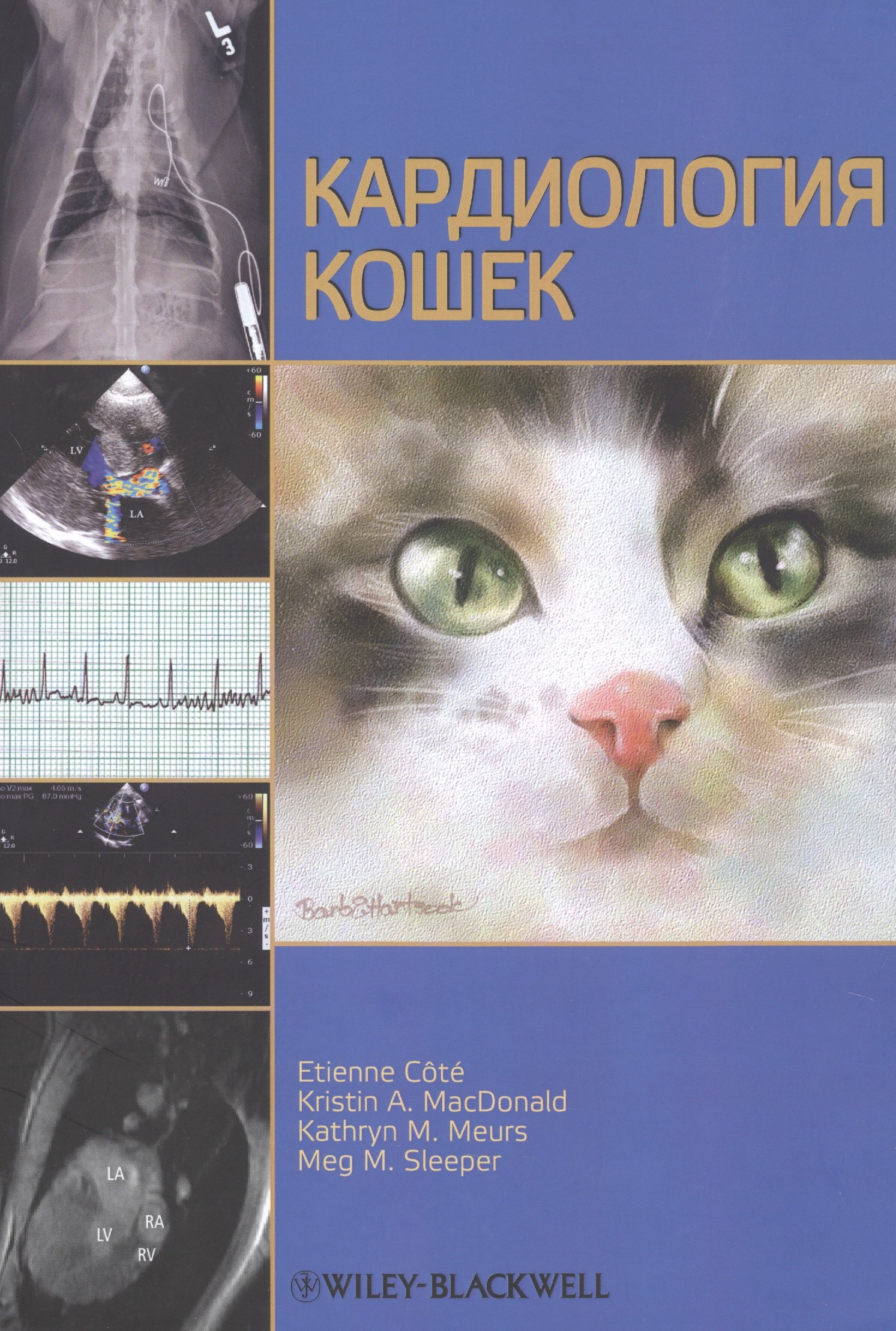 

Кардиология кошек