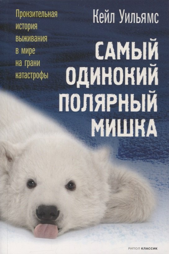 

Самый одинокий полярный мишка