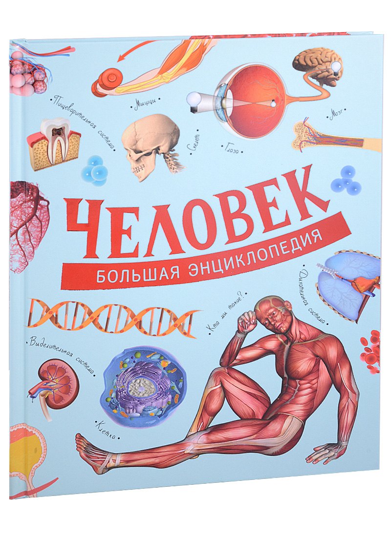 

Человек. Большая энциклопедия