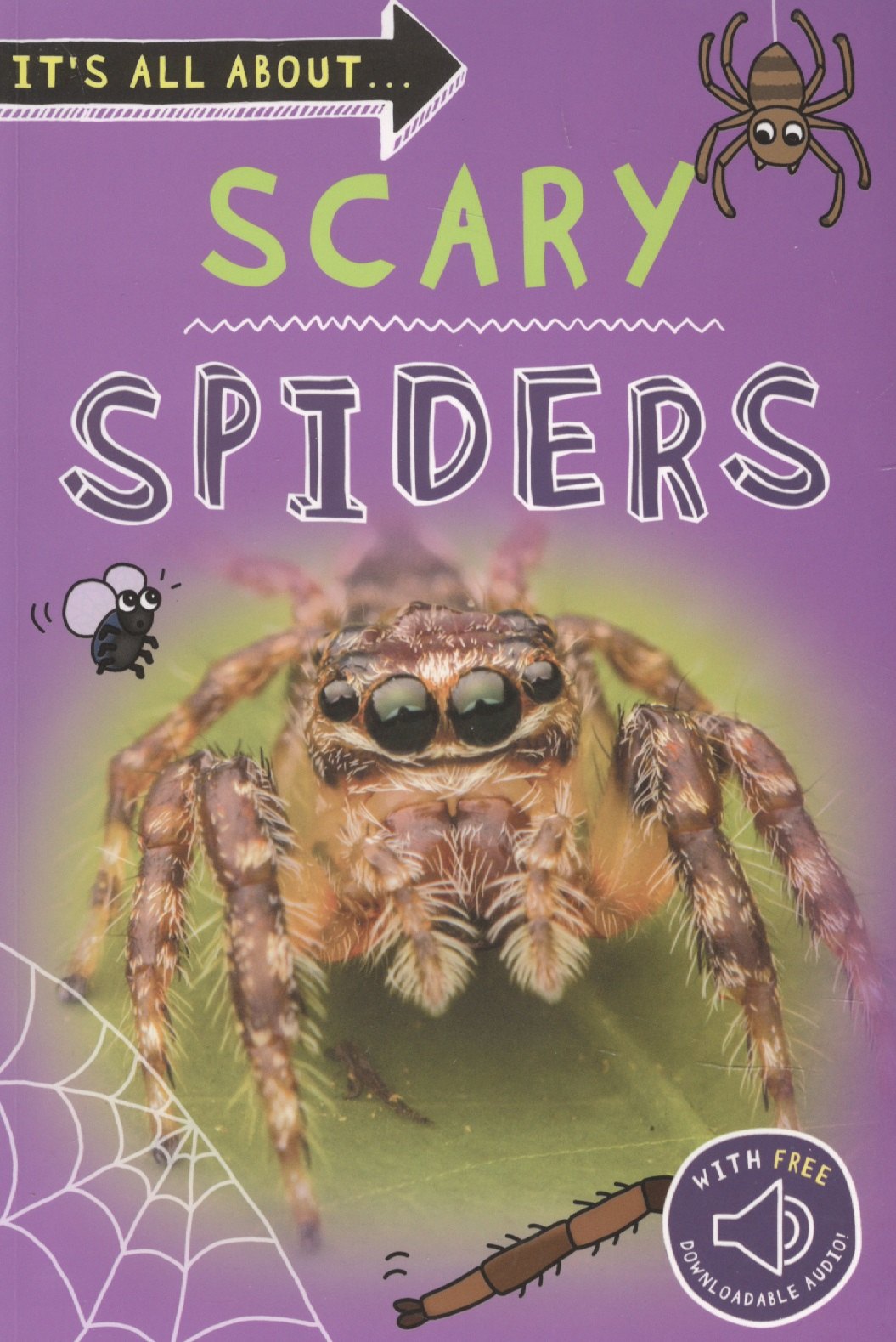 

Scary Spiders