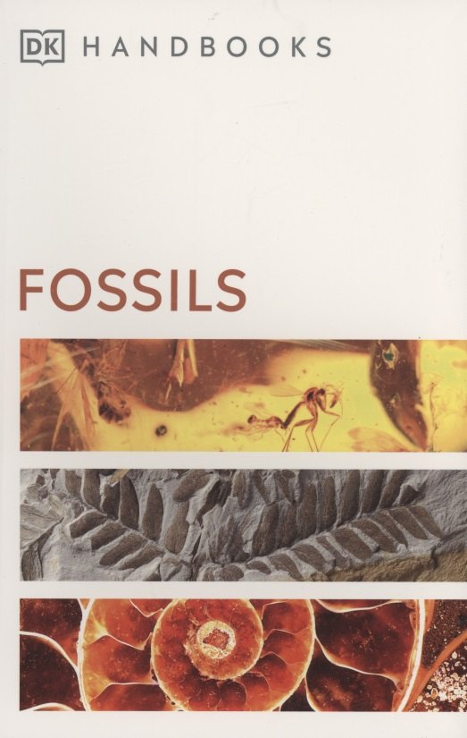 

Fossils