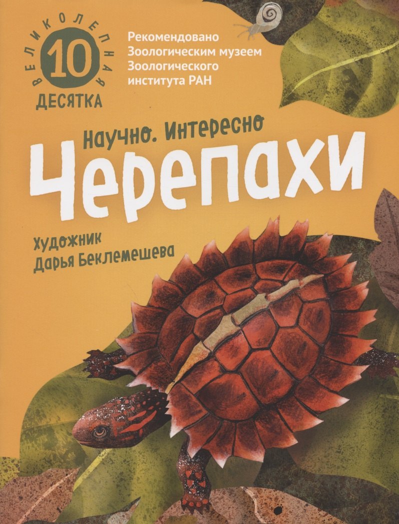 

Великолепная десятка. Черепахи