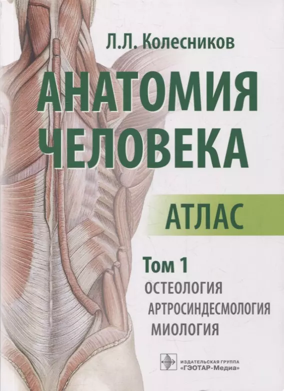 Колесников Лев Львович - Анатомия человека: атлас: в 3-х томах. Том 1. Остеология, артросиндесмология, миология