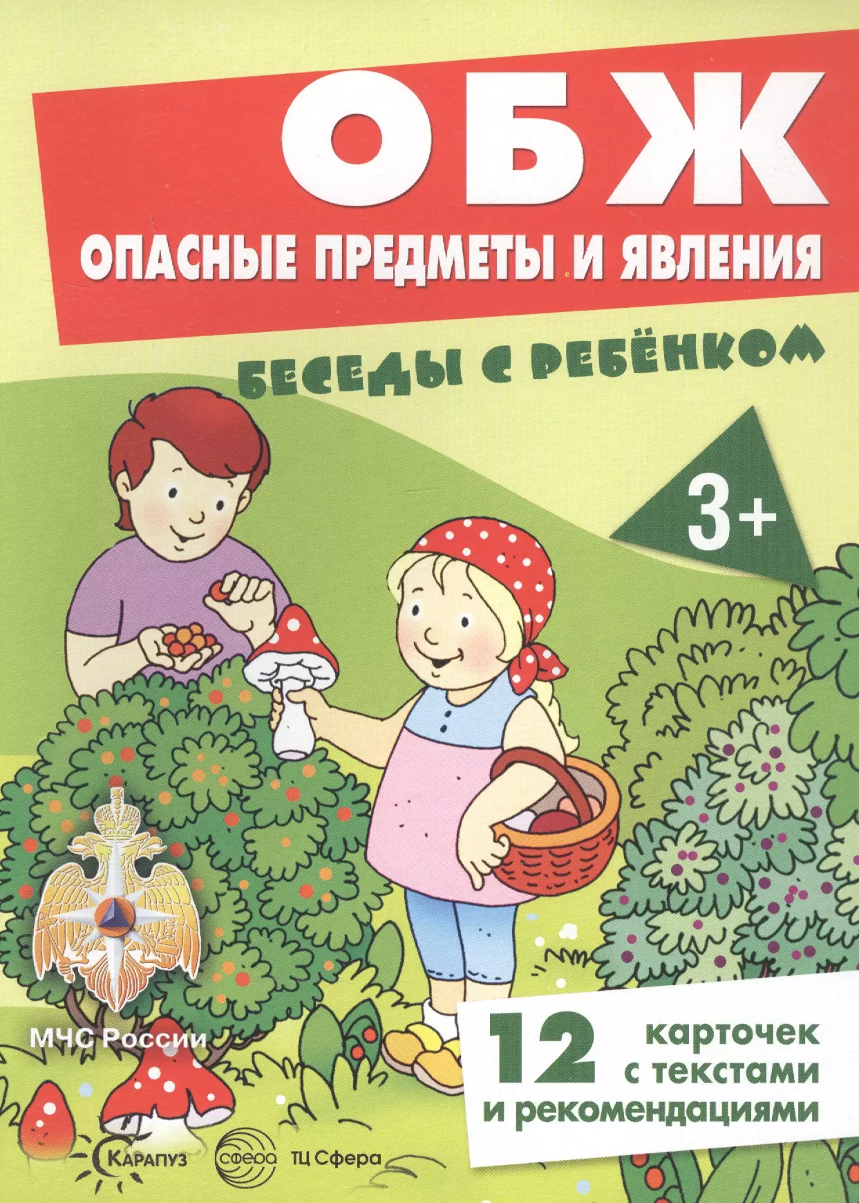 Шипунова Вера Александровна - ОБЖ. Опасные предметы и явления. Беседы с ребенком. 12 карточек с текстами и рекомендациями