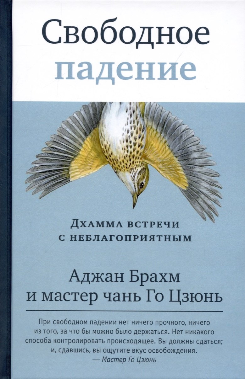 

Свободное падение. Дхамма встречи с неблагоприятным