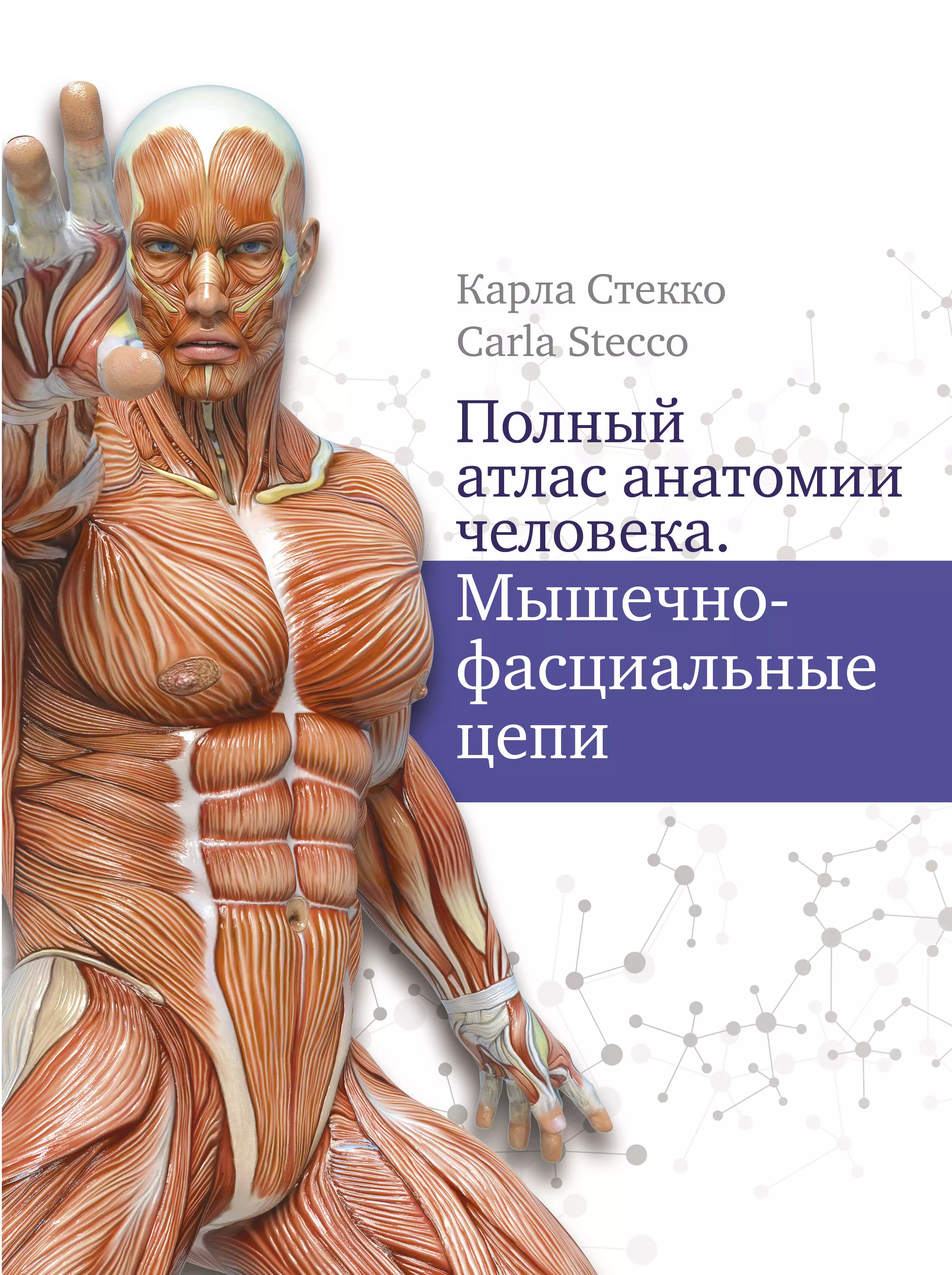Стекко Карл - Полный атлас анатомии человека. Мышечно-фасциальные цепи