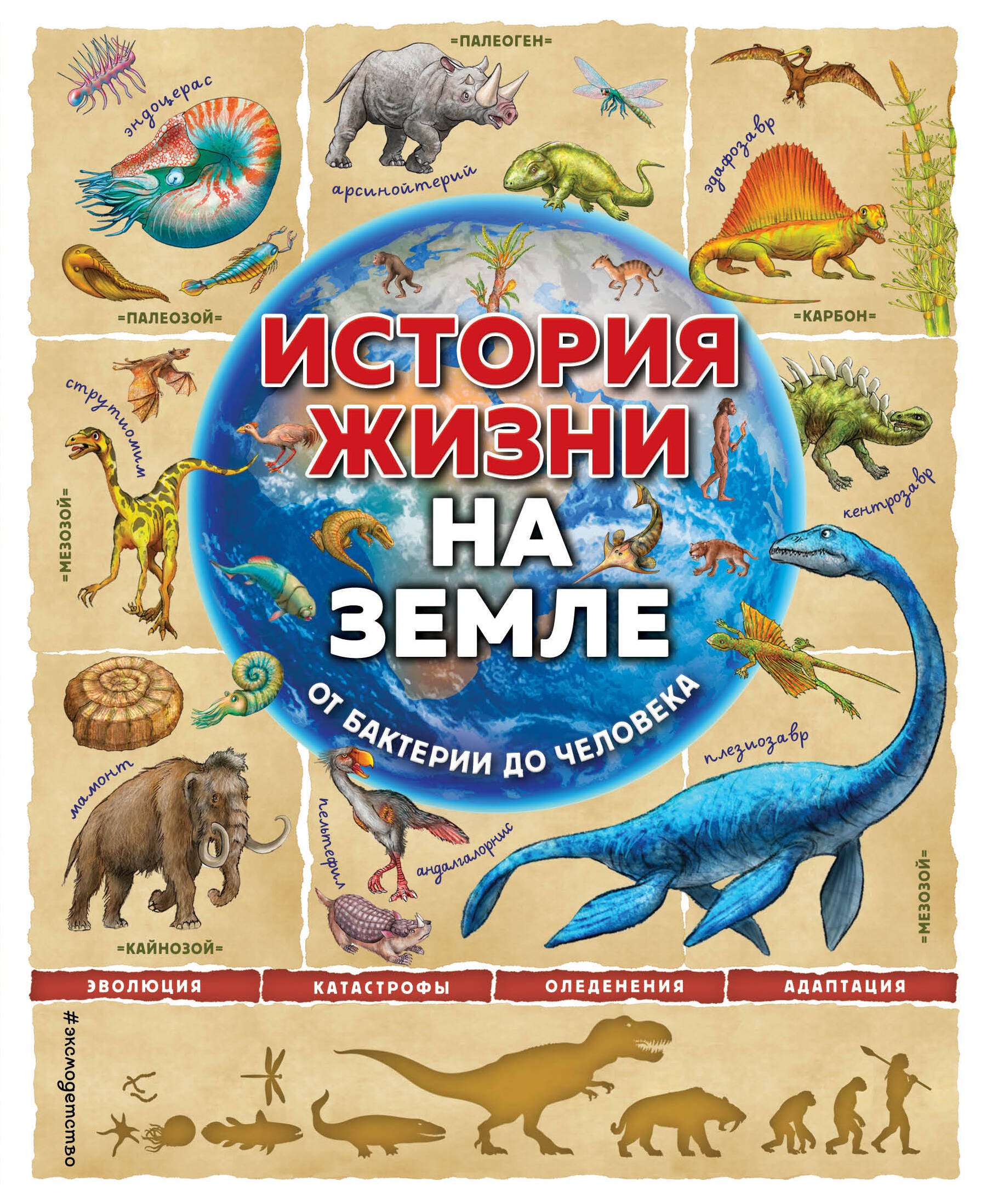 

История жизни на Земле. От бактерии до человека