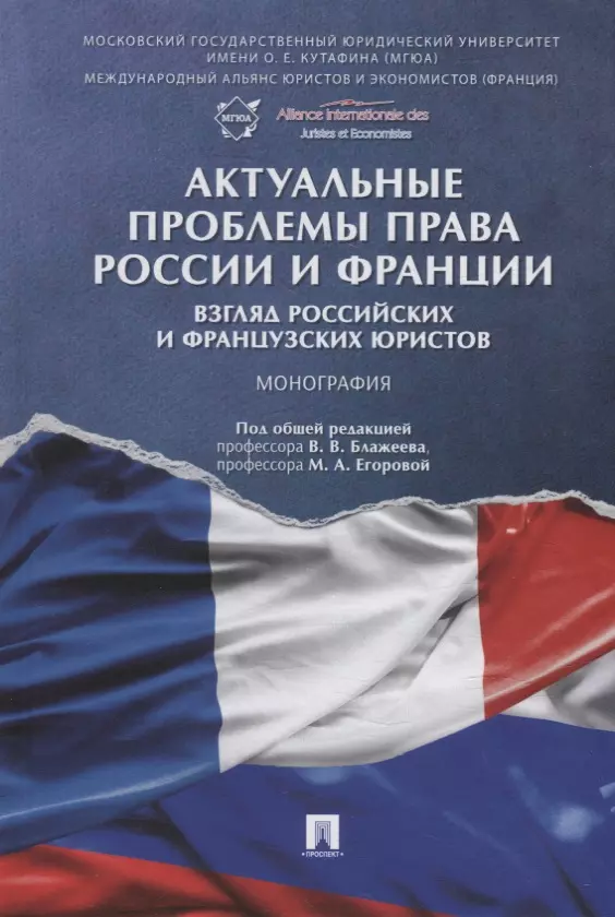 Блажеев Виктор Владимирович - Актуальные проблемы права России и Франции: взгляд российских и французских юристов. Монография