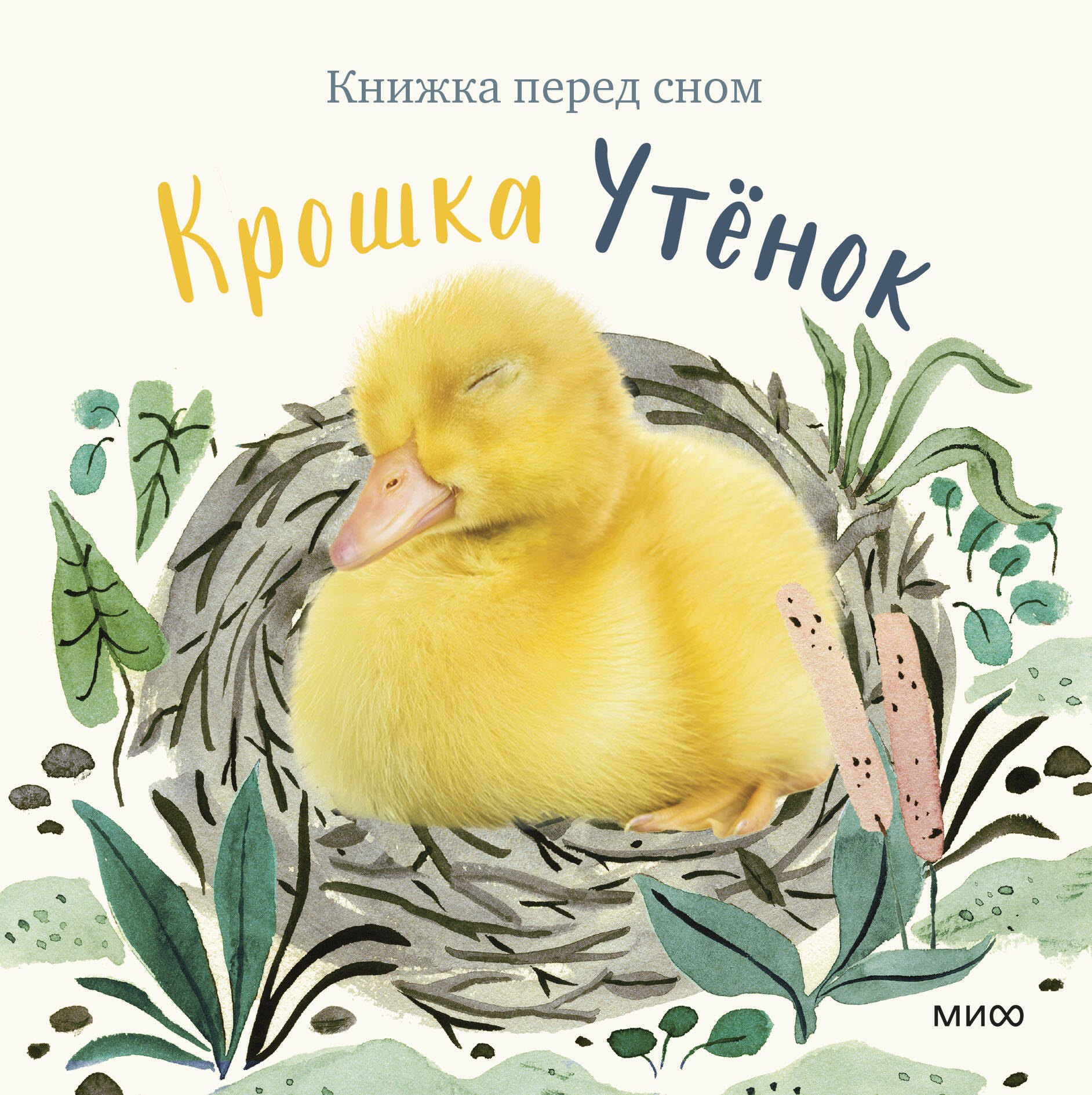 

Крошка Утенок