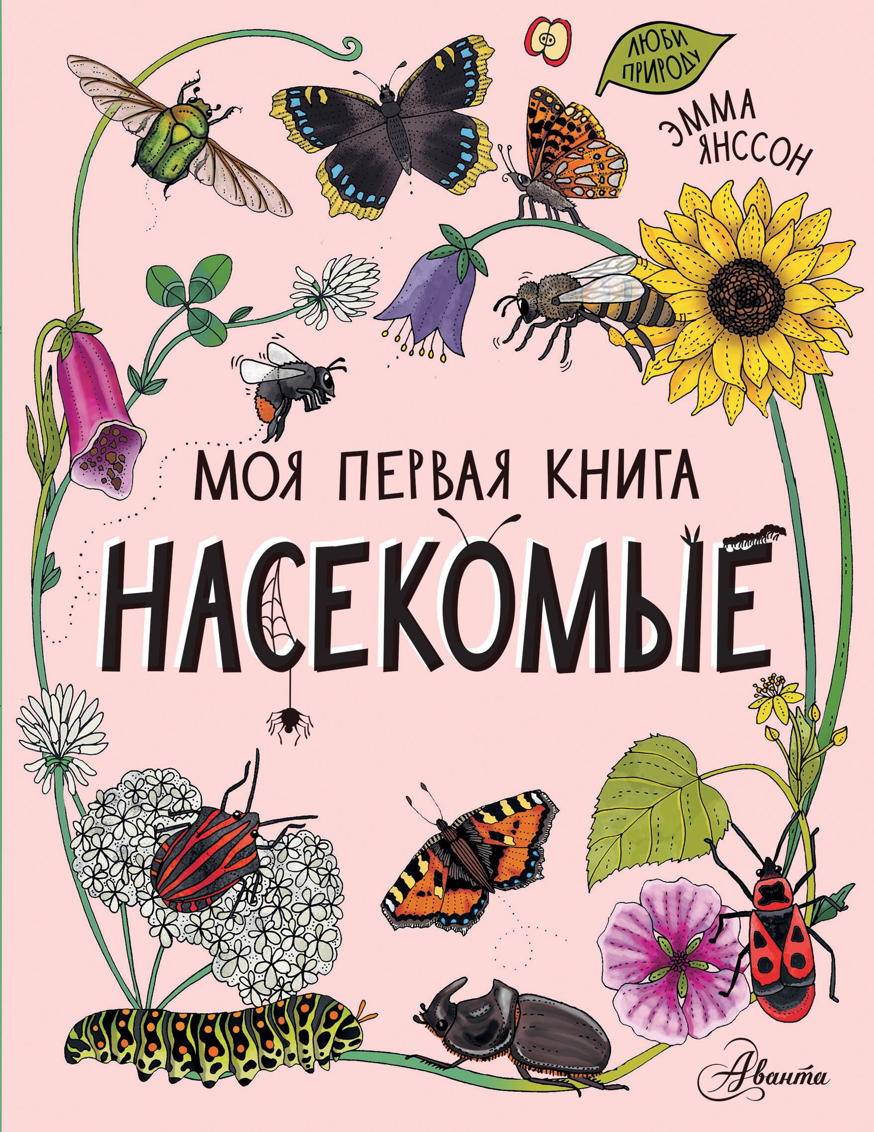 

Насекомые