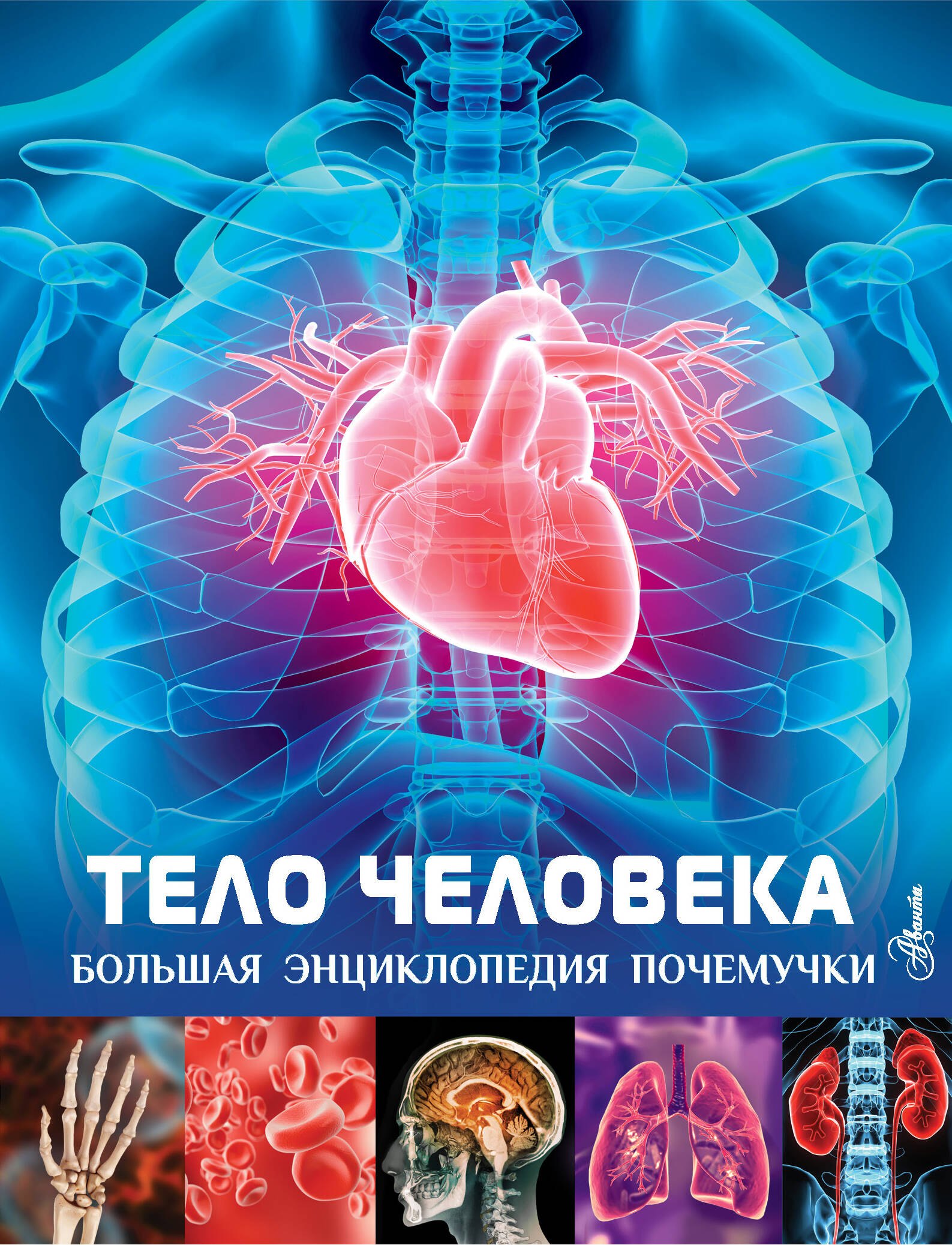 Книга тело. Тело человека книга. Большая энциклопедия человек. Большая энциклопедия. Тело человека. Человеческое тело.