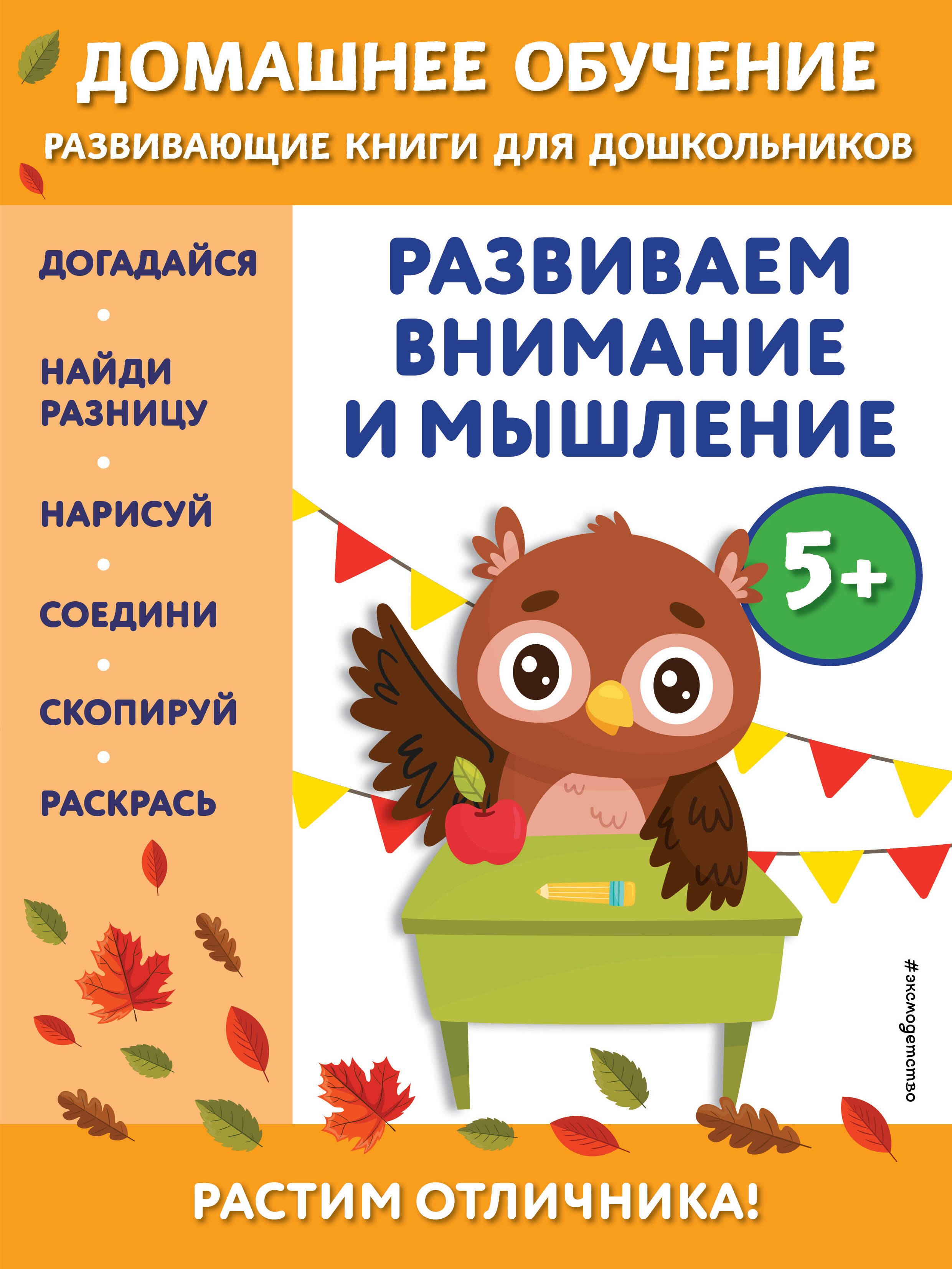 

Развиваем внимание и мышление: для детей от 5 лет