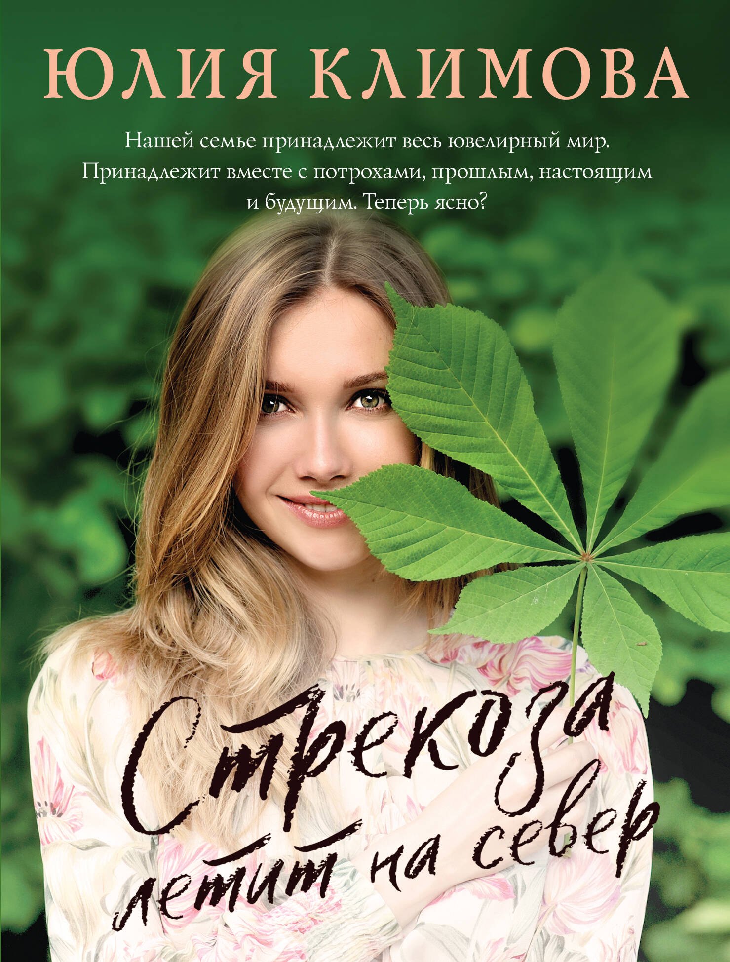 

Стрекоза летит на север