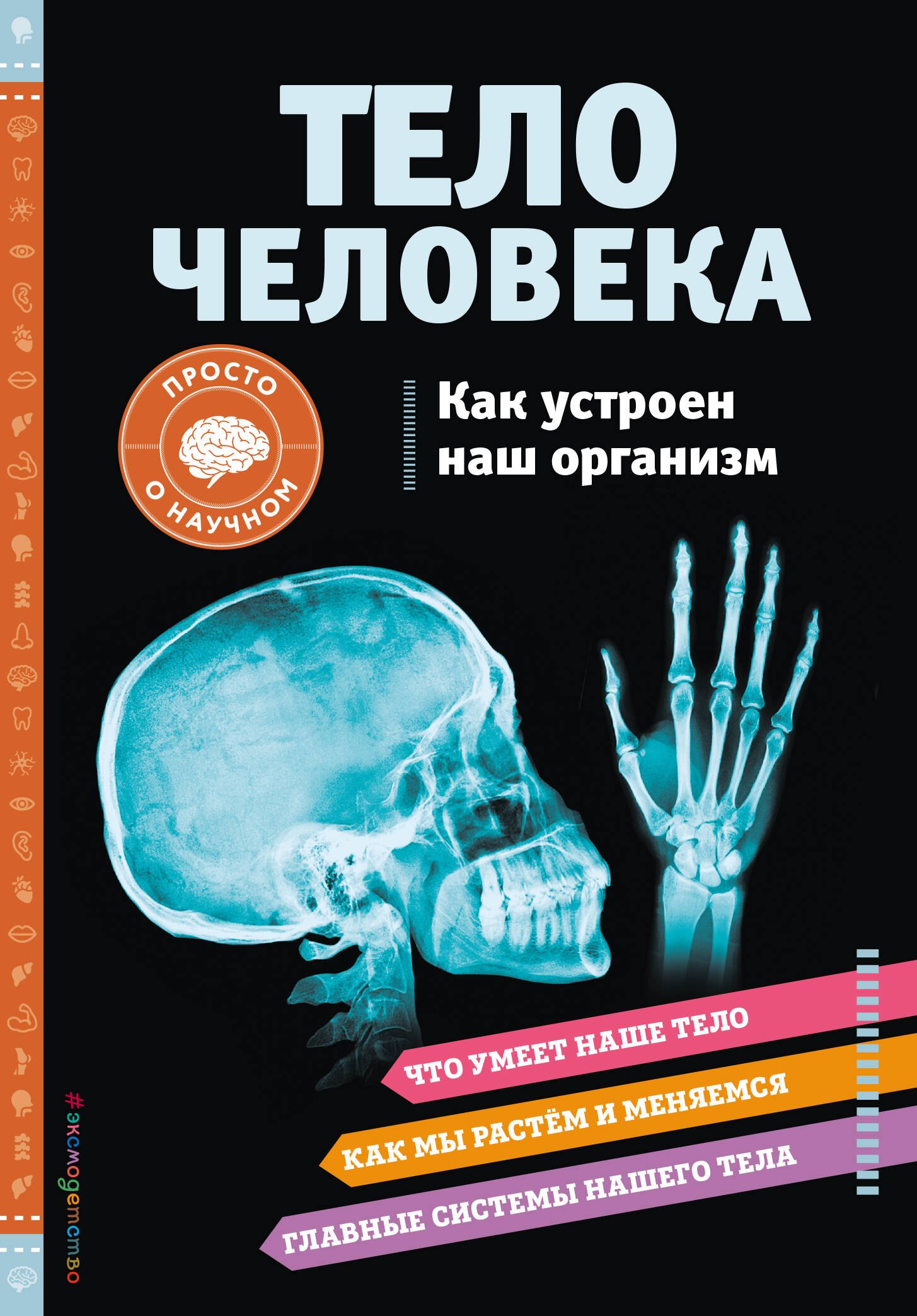 

Тело человека. Как устроен наш организм