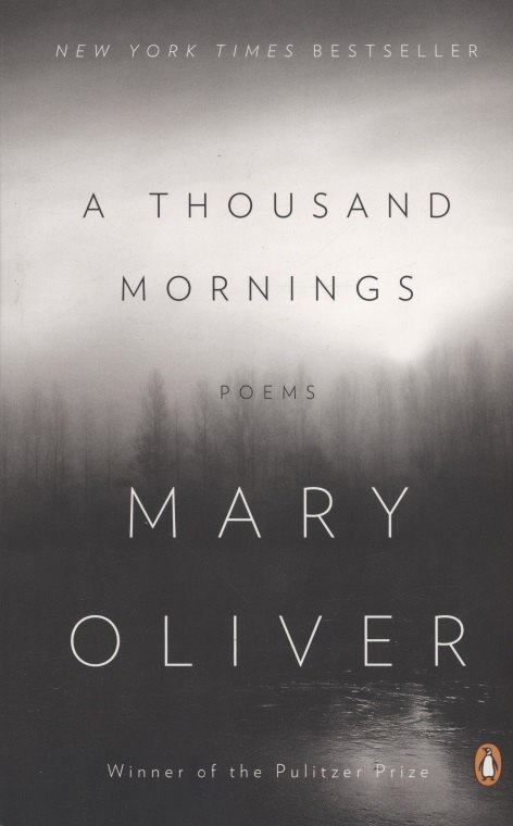 

A Thousand Mornings