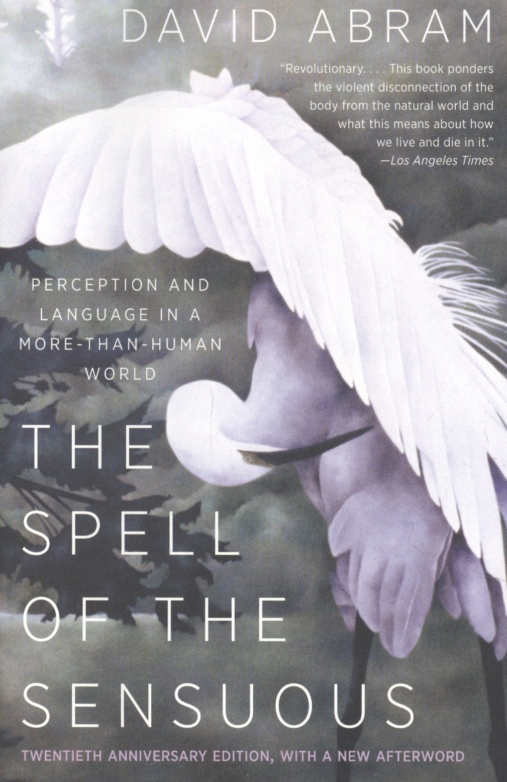 

The Spell of the Sensuous