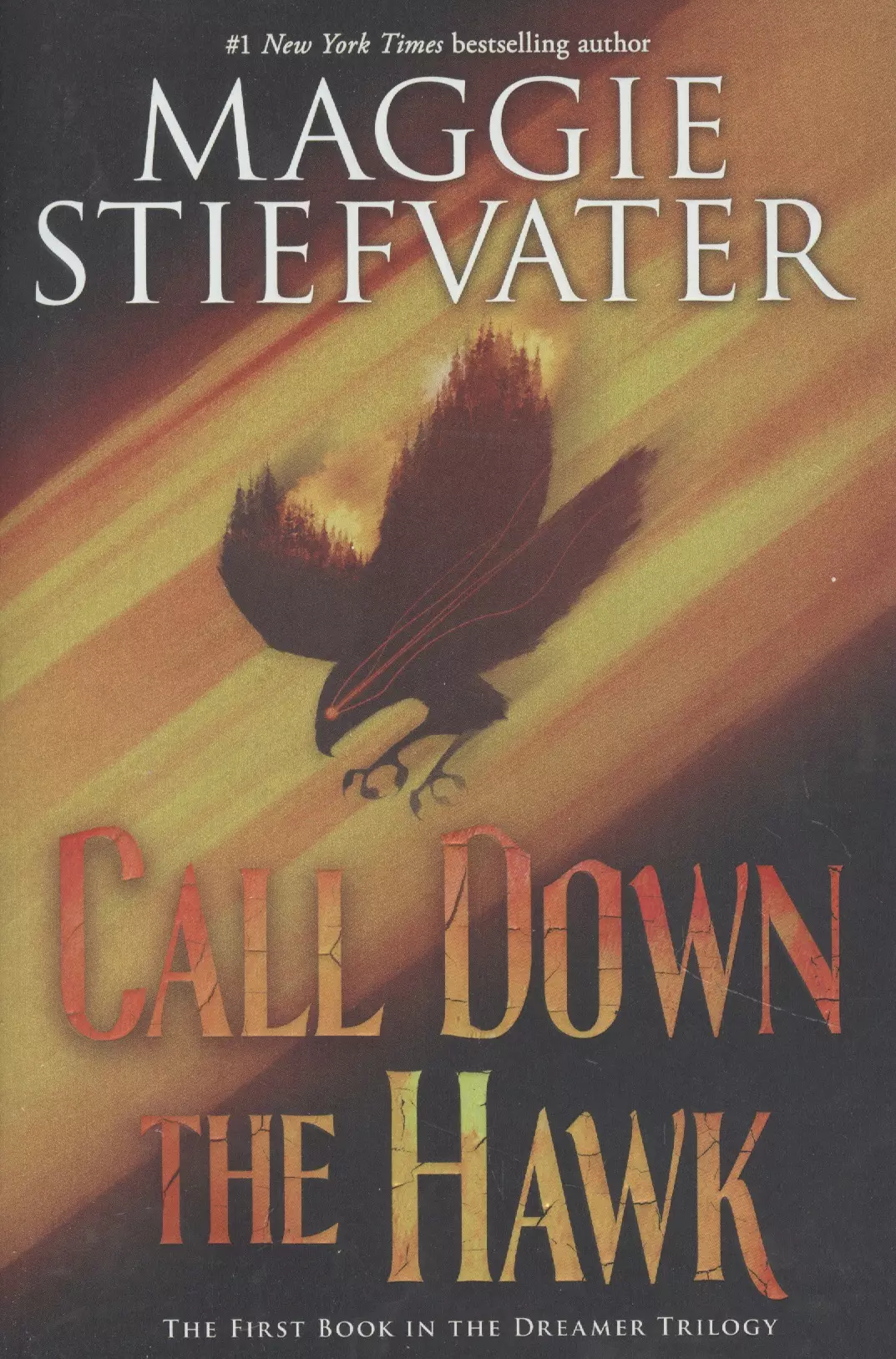 Стивотер Мэгги - Call Down the Hawk