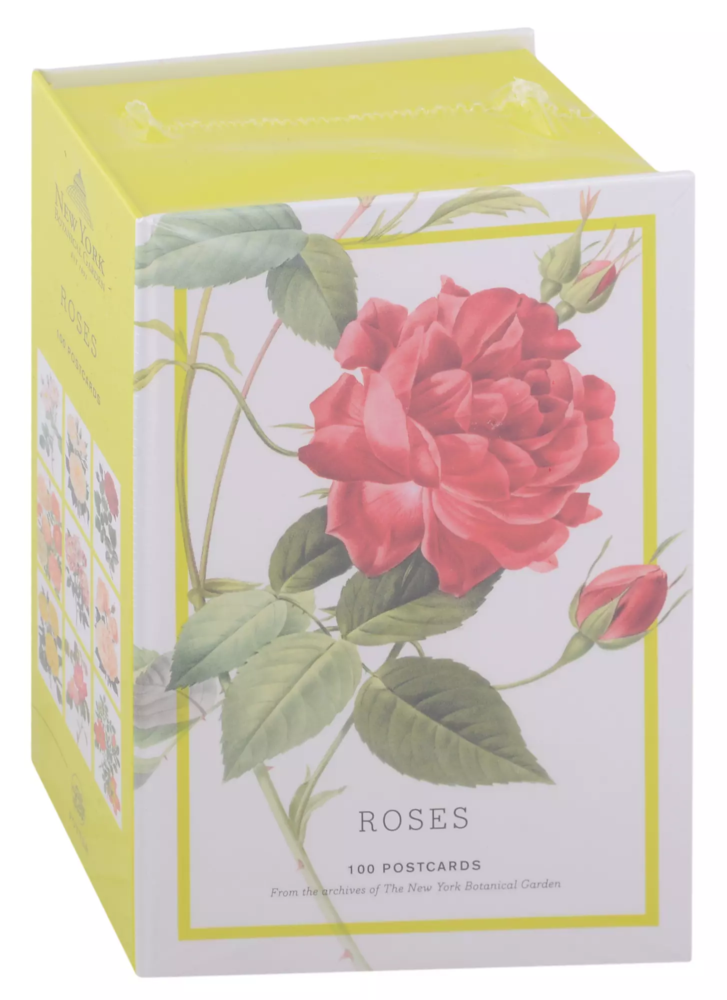 Roses: 100 Postcards from the Archives of The New York Botanical Garden