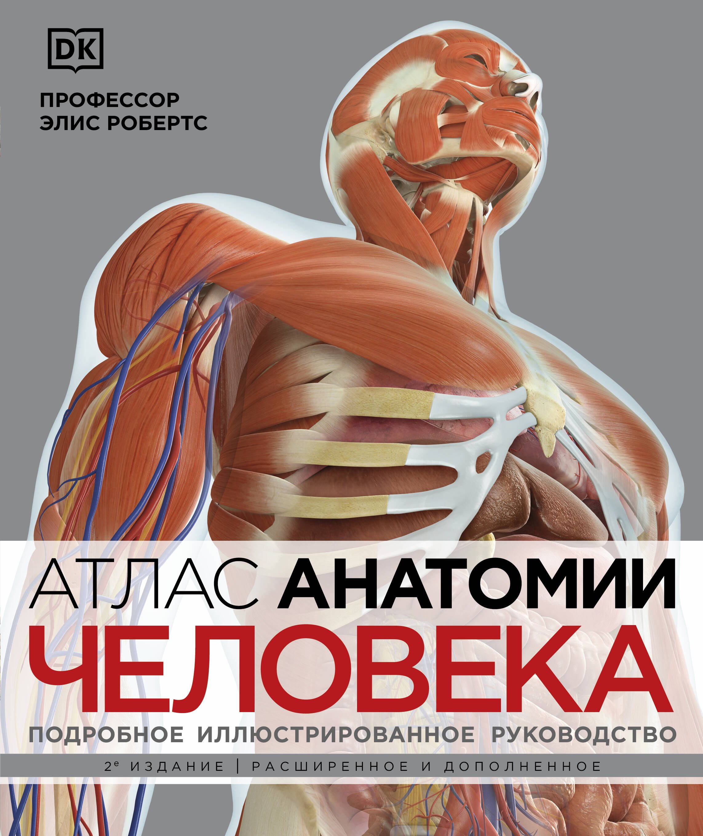 

Атлас анатомии человека. Подробное иллюстрированное руководство