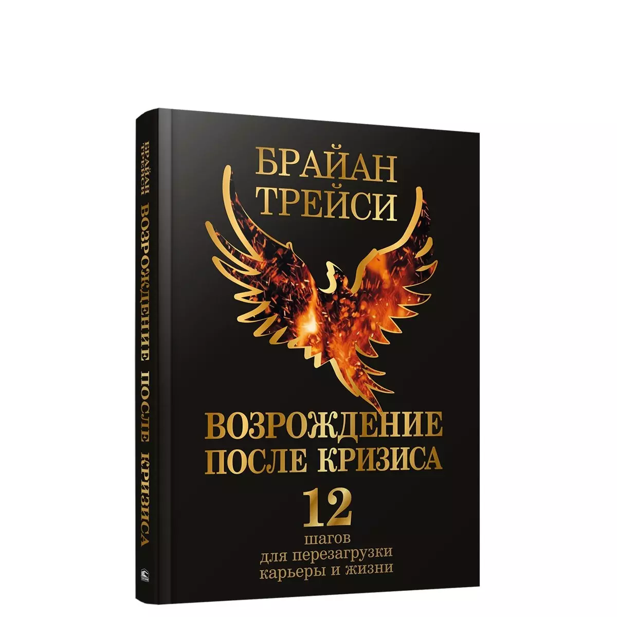 Трейси Брайан - Возрождение после кризиса: 12 шагов для перезагрузки карьеры и жизни