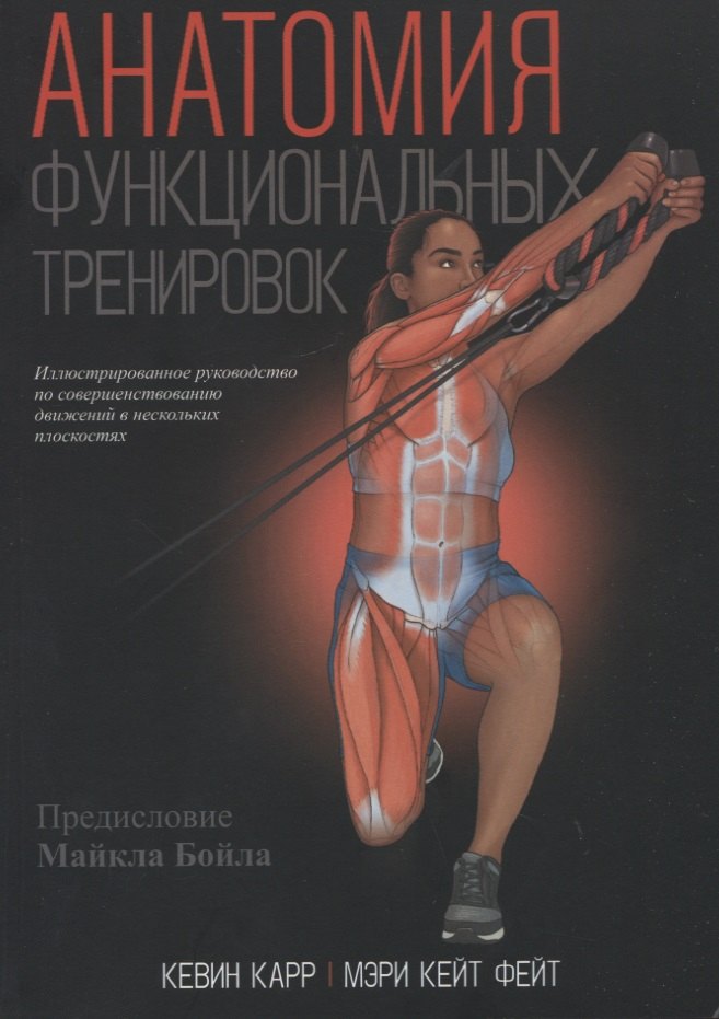

Анатомия функциональных тренировок