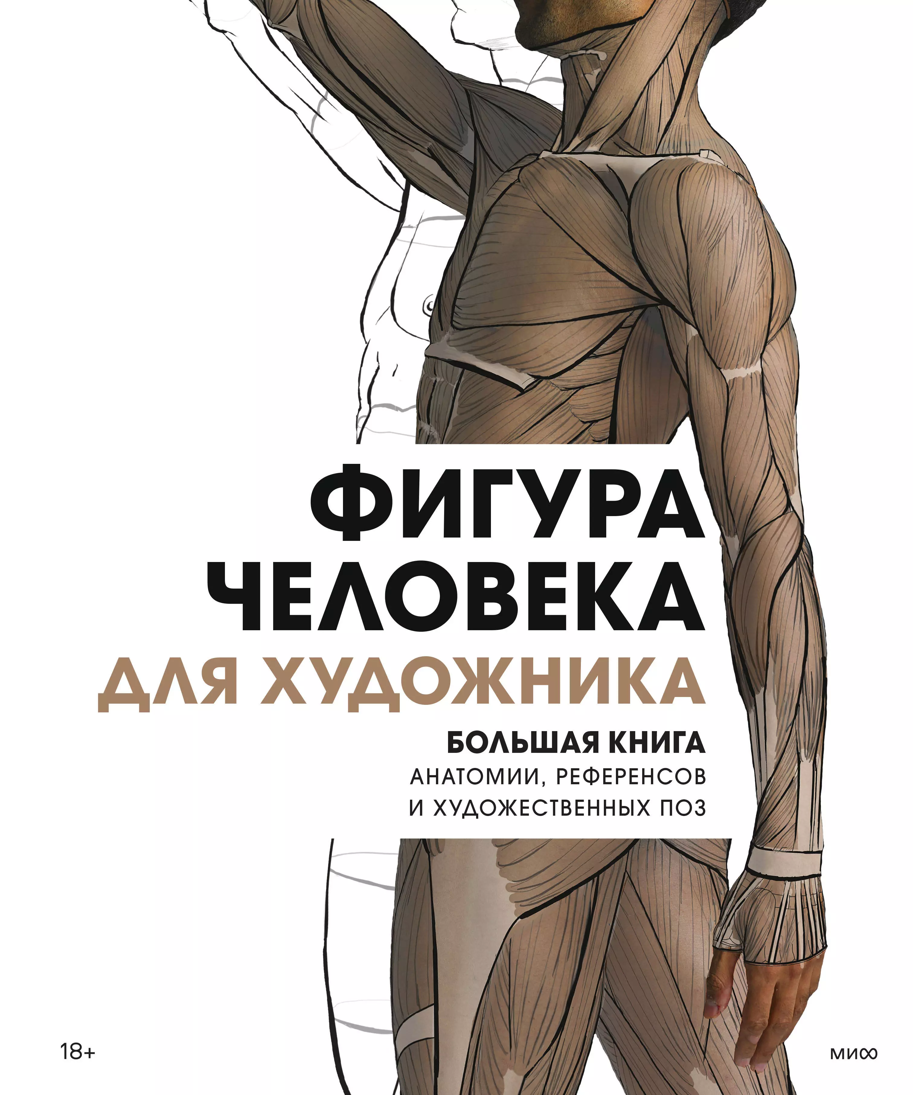 Гулюкина Вера - Фигура человека для художника. Большая книга анатомии, референсов и художественных поз