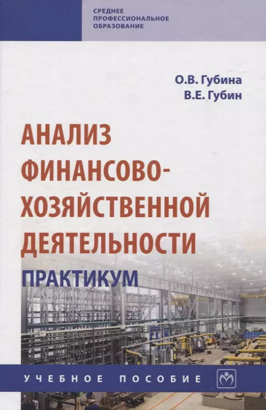 Губина Оксана Витальевна, Губин Виталий Егорович - Анализ финансово-хозяйственной деятельности. Практикум: учебное пособие