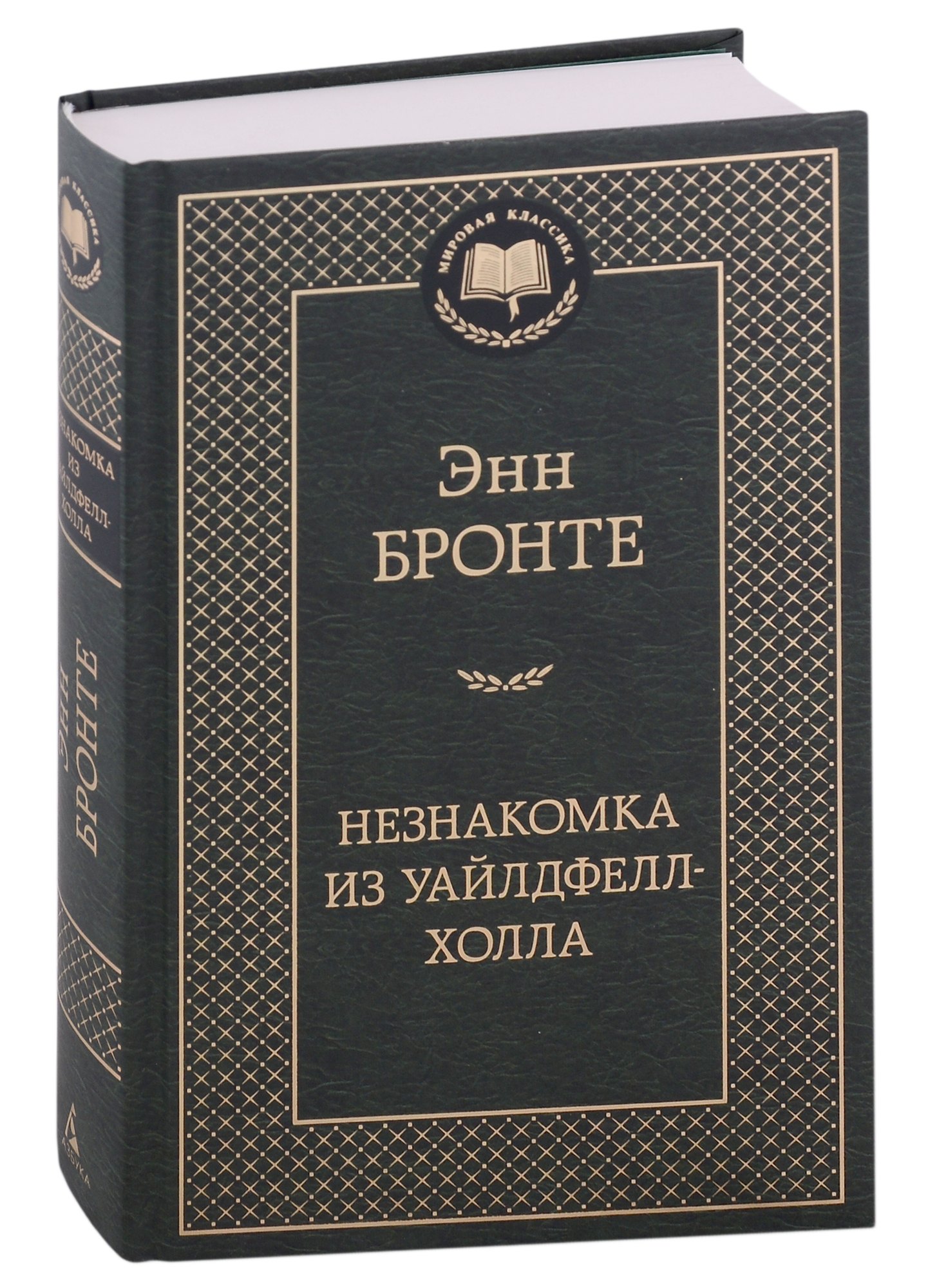 

Незнакомка из Уайлдфелл-Холла