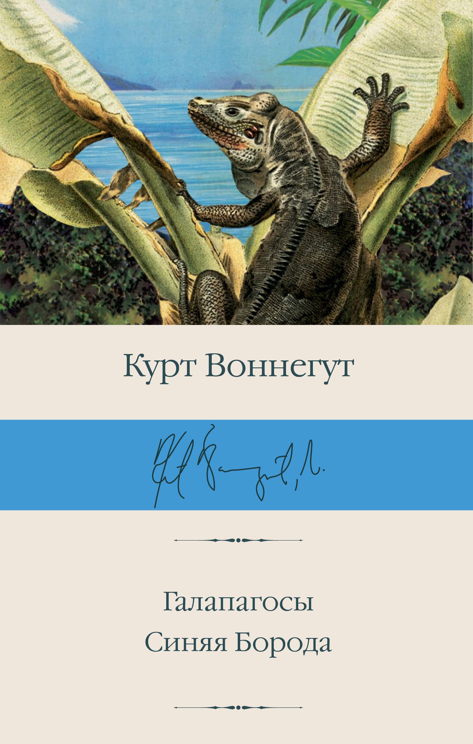 

Галапагосы. Синяя борода