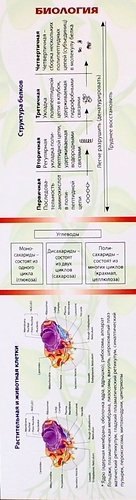 

Закладка. Биология
