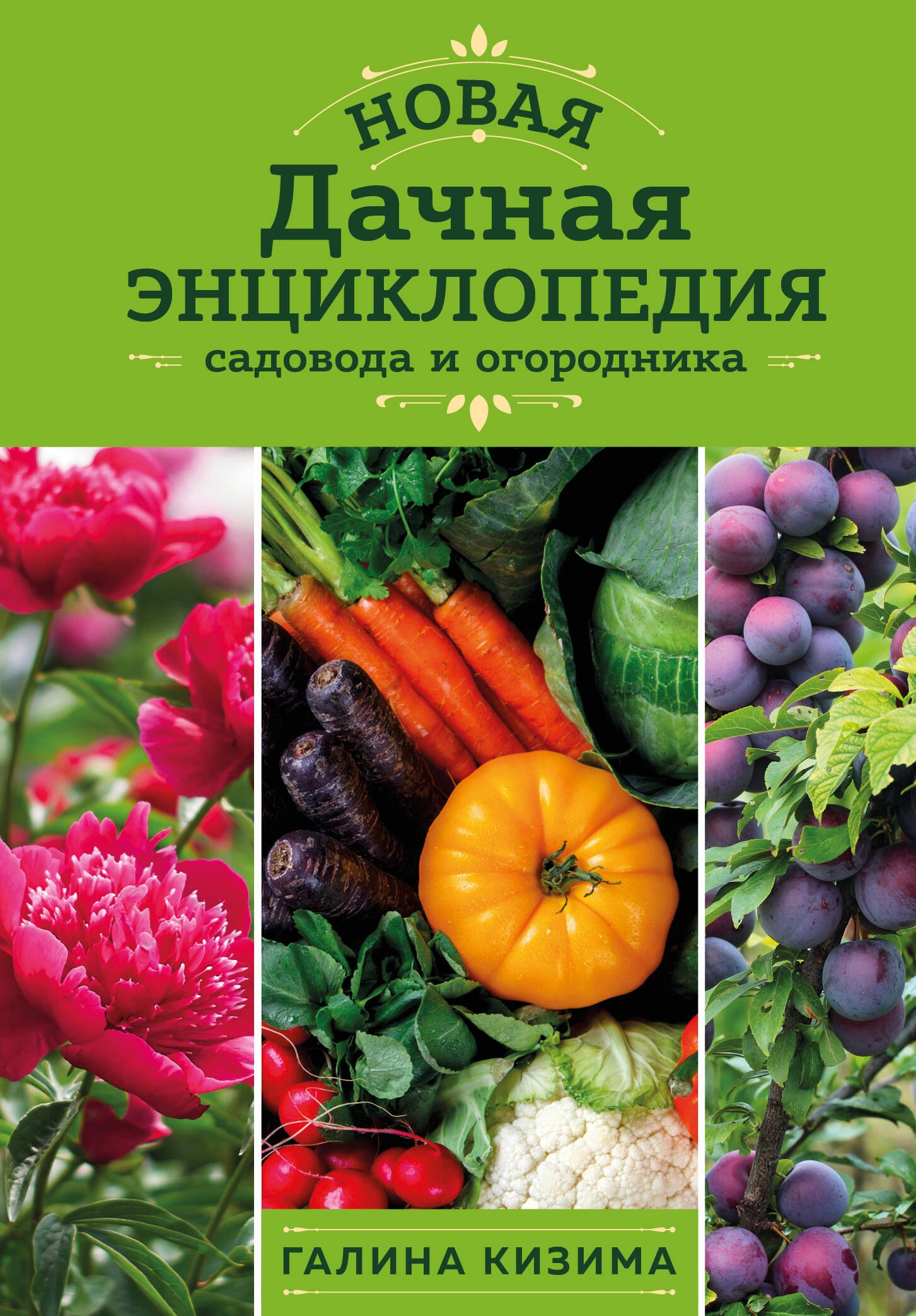 

Новая дачная энциклопедия садовода и огородника