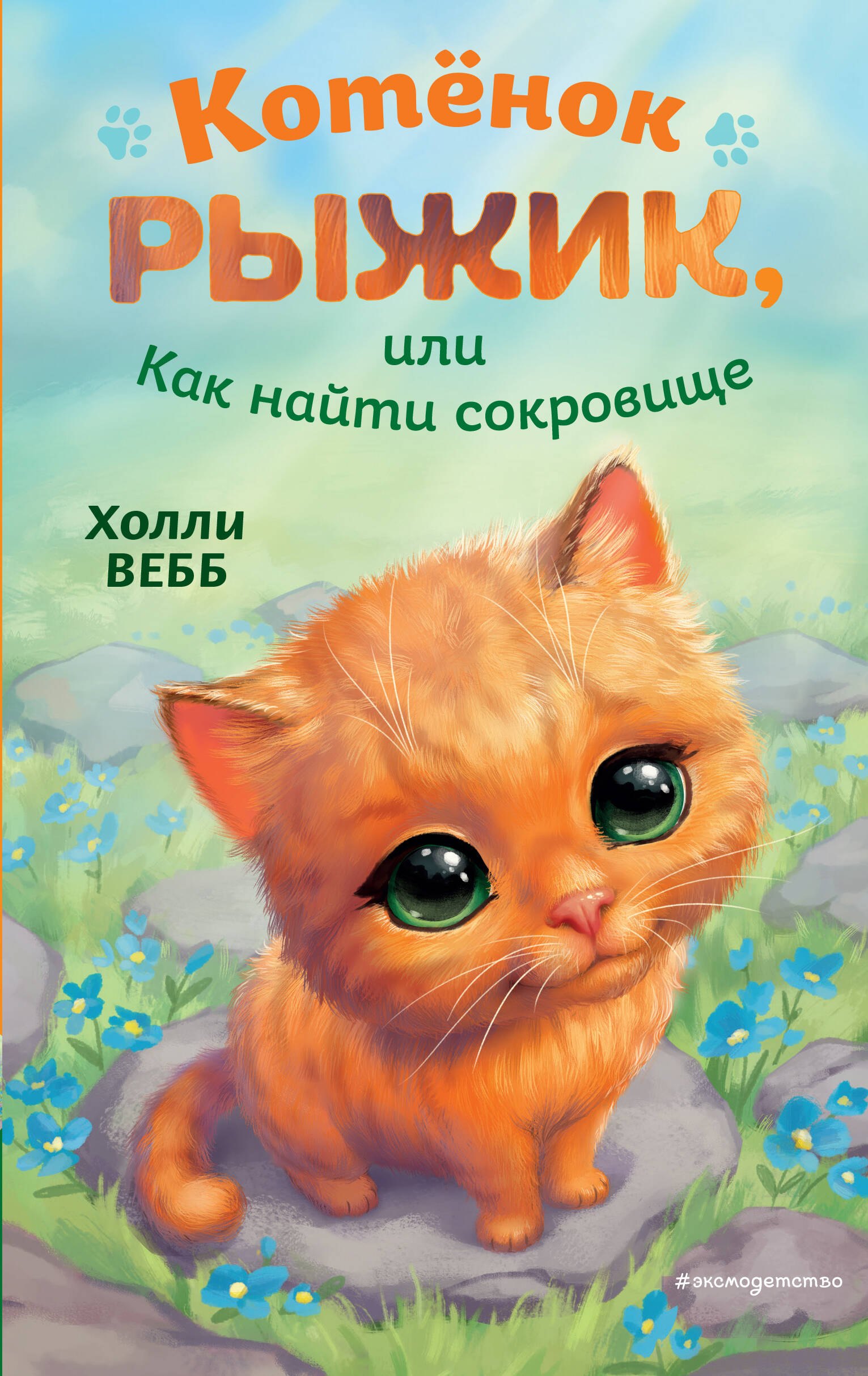 

Котенок Рыжик, или Как найти сокровище