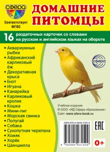  - Домашние питомцы. 16 раздаточных карточек со словами на русском и английском языках на обороте