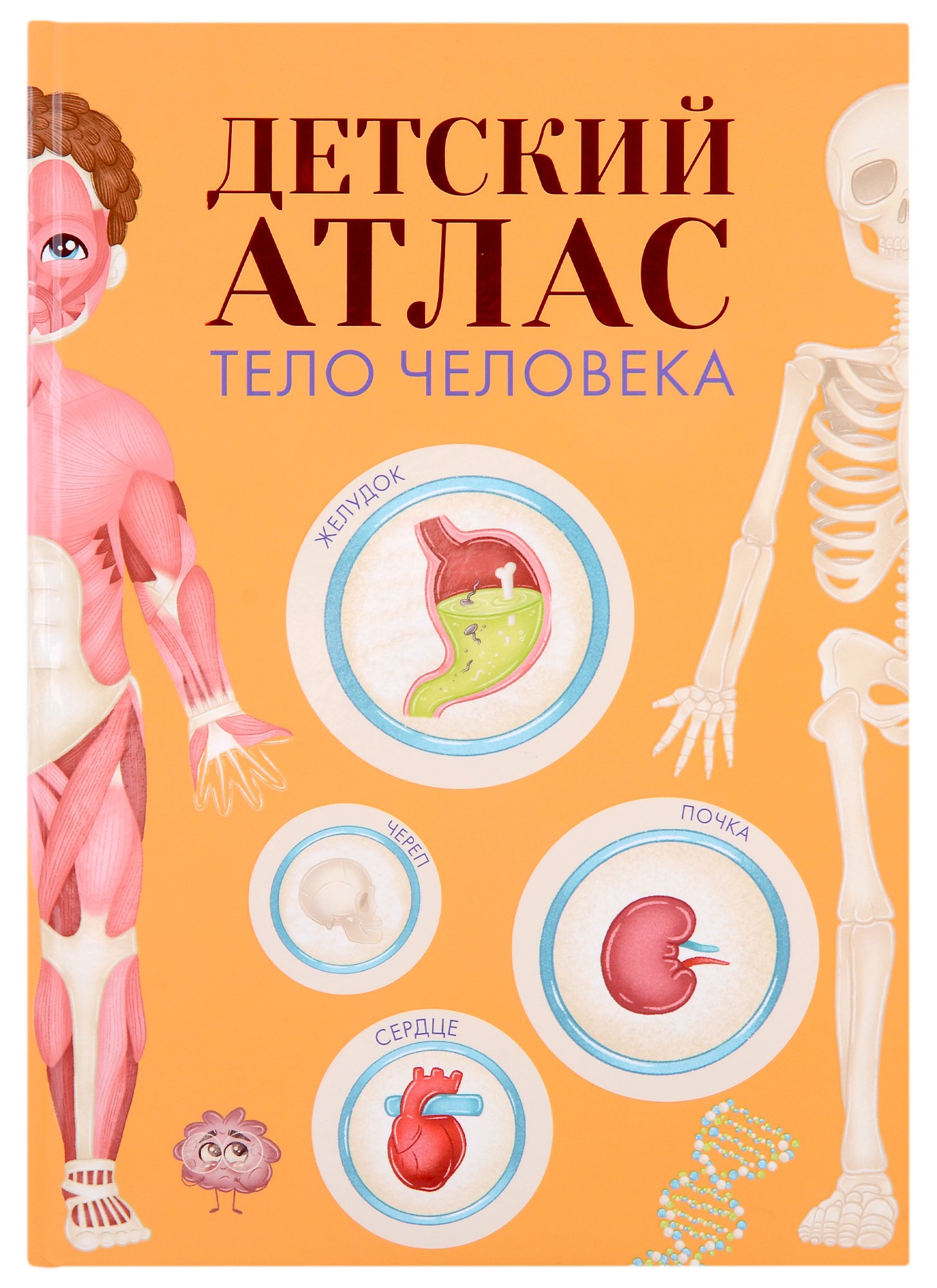 

Детский атлас. Тело человека