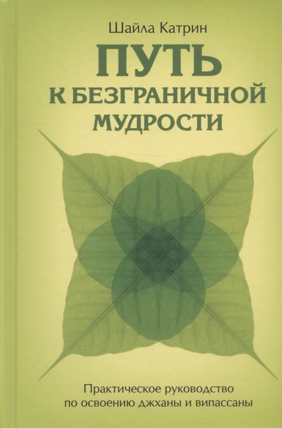 

Путь к безграничной мудрости. Практическое руководство по освоению джханы и випассаны
