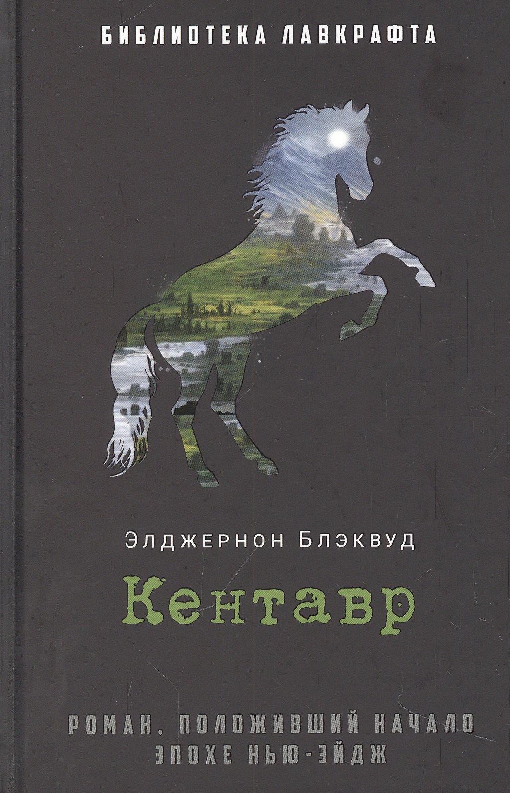 

Кентавр: роман