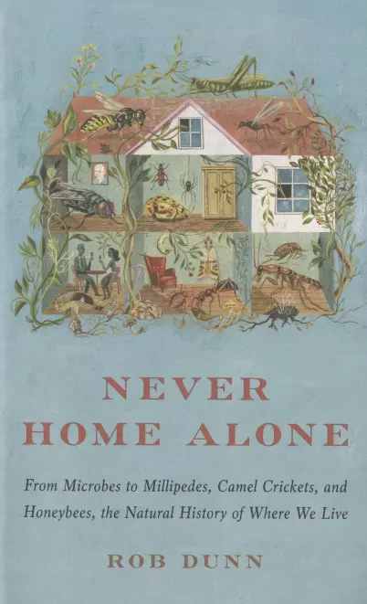 Never Home Alone