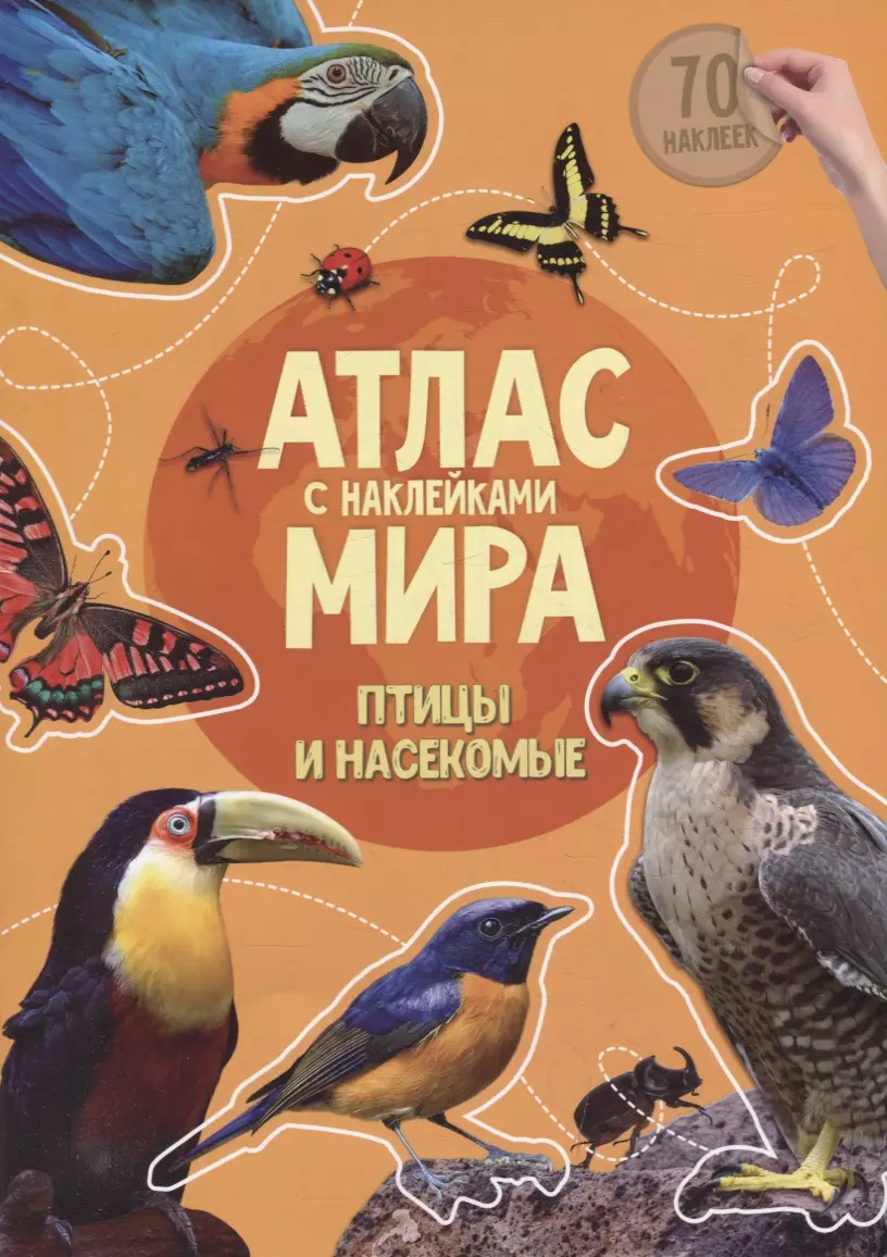 Васильева Ирина Ильинична, Псарева Наталья, Демченко Валерия - Книга-картинка «Атлас мира. Птицы и насекомые» (+70 наклеек)