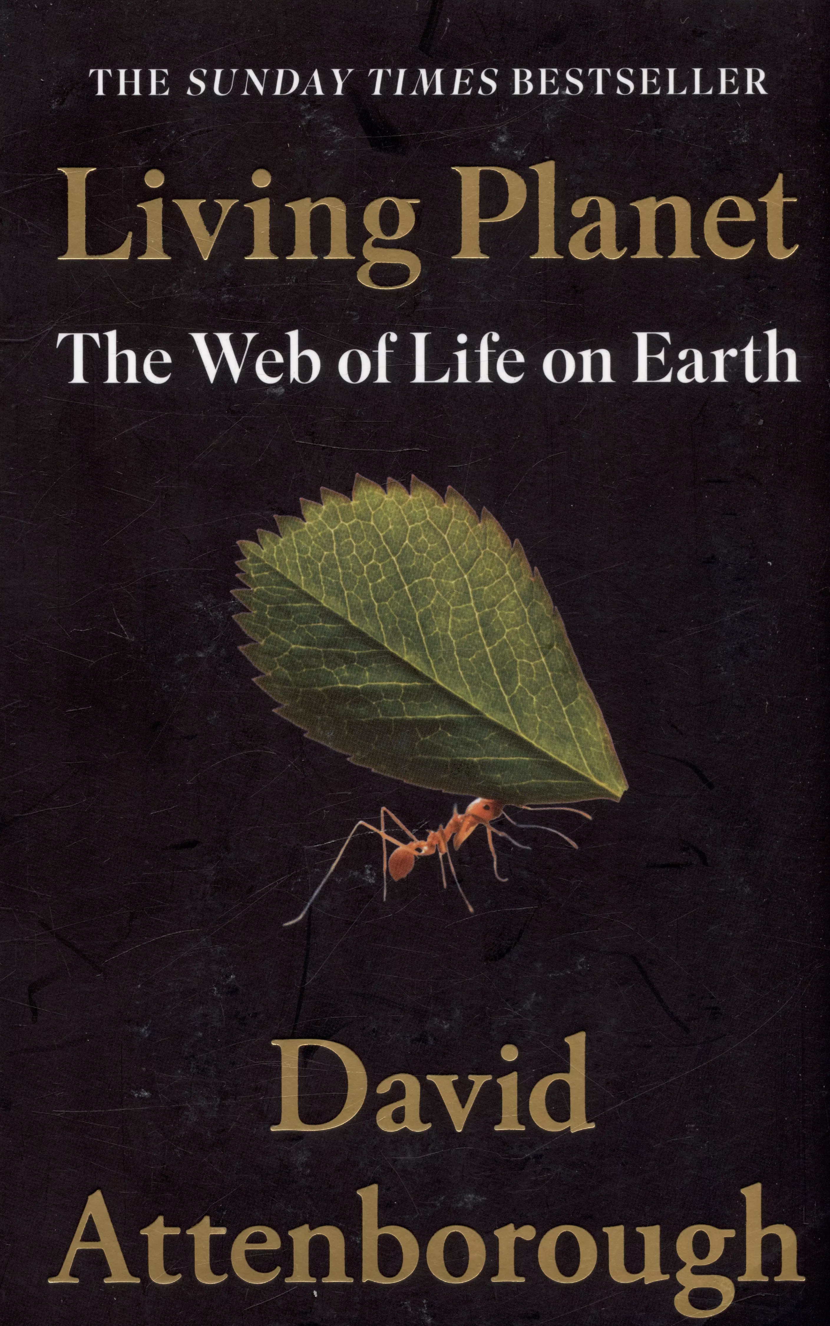 Attenborough David - Living Planet: The Web of Life on Earth