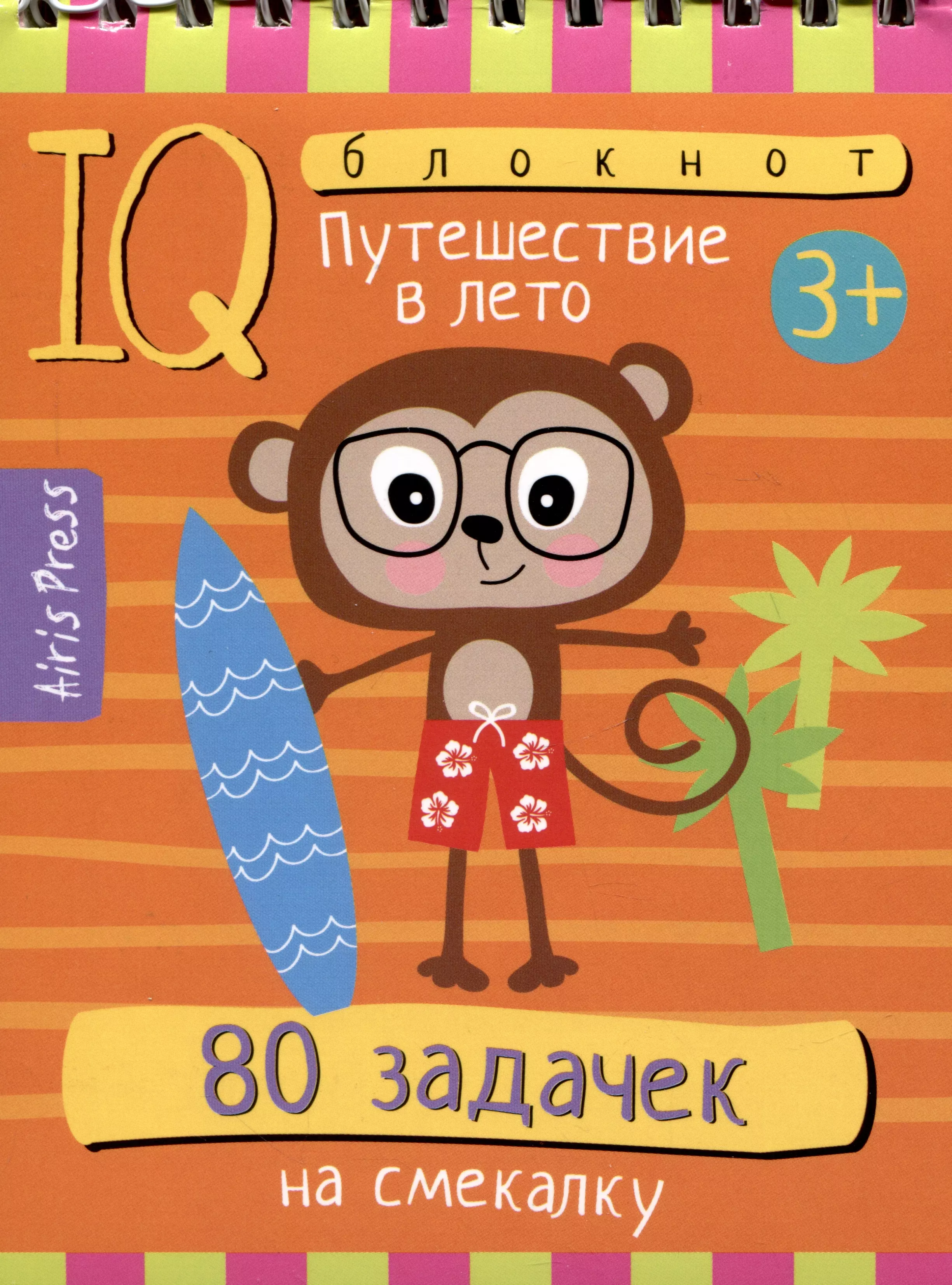 IQ блокнот. 80 задачек на смекалку. Путешествие в лето