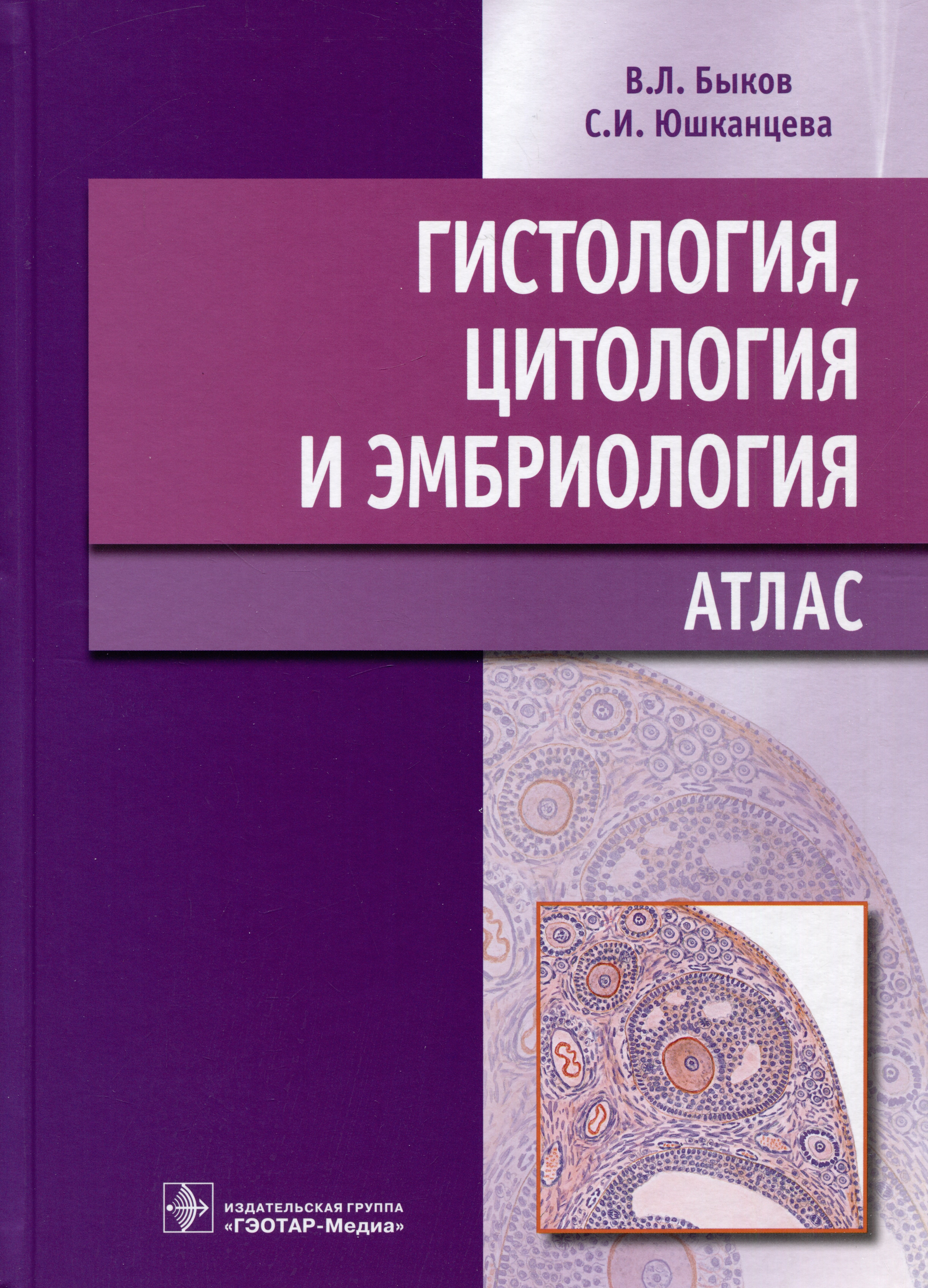 

Гистология, цитология и эмбриология: Атлас: учебное пособие