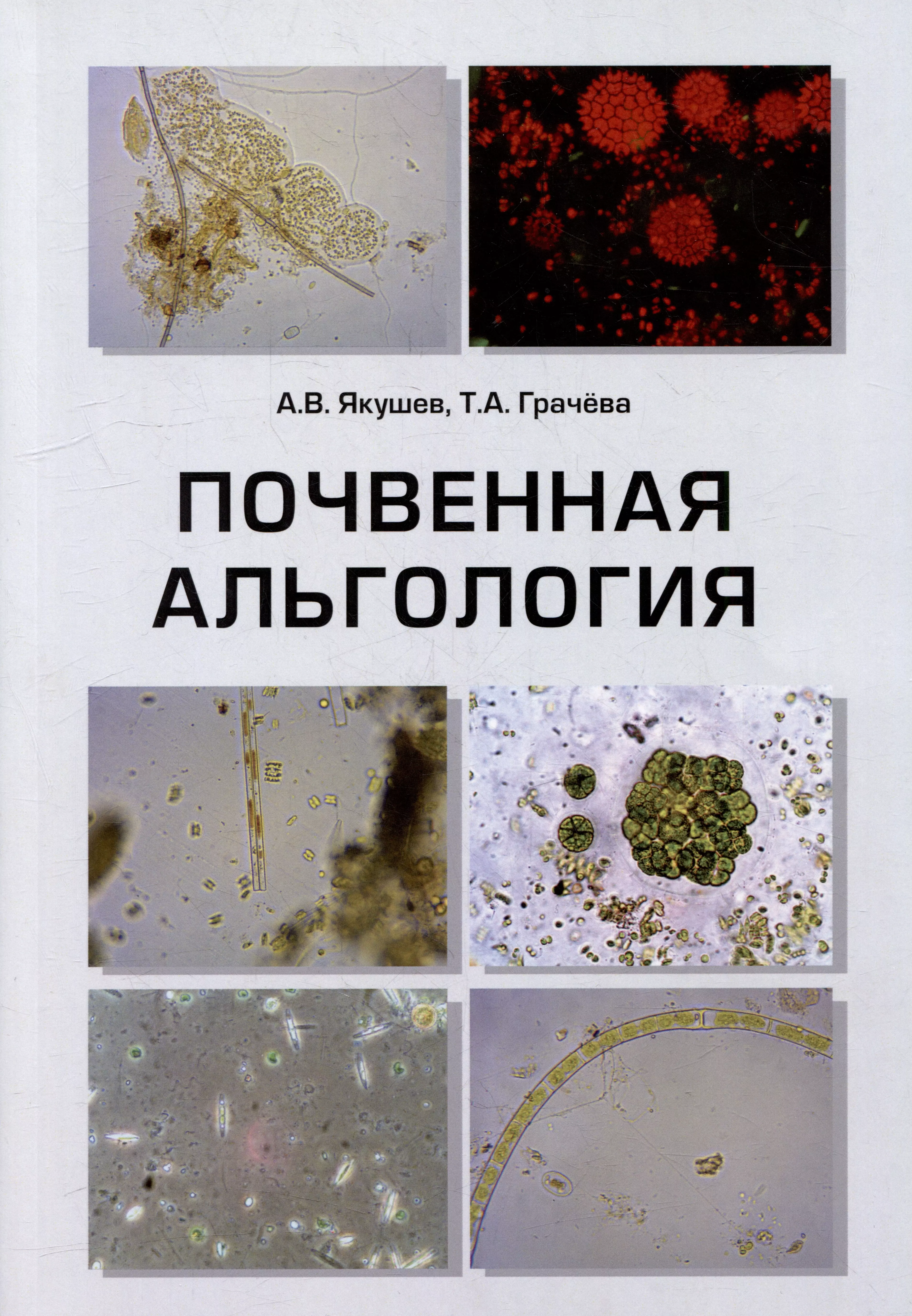 Якушев Андрей Владимирович, Грачева Татьяна Александровна - Почвенная альгология: Учебное пособие к курсу лекций и практическим занятиям "Почвенные водоросли"