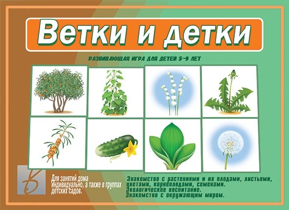 

Ветки и детки