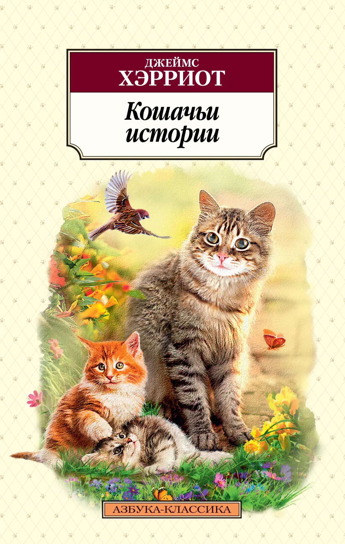 Коты истории легенд. Книга беспредельные коты. Книжка звуки кота.