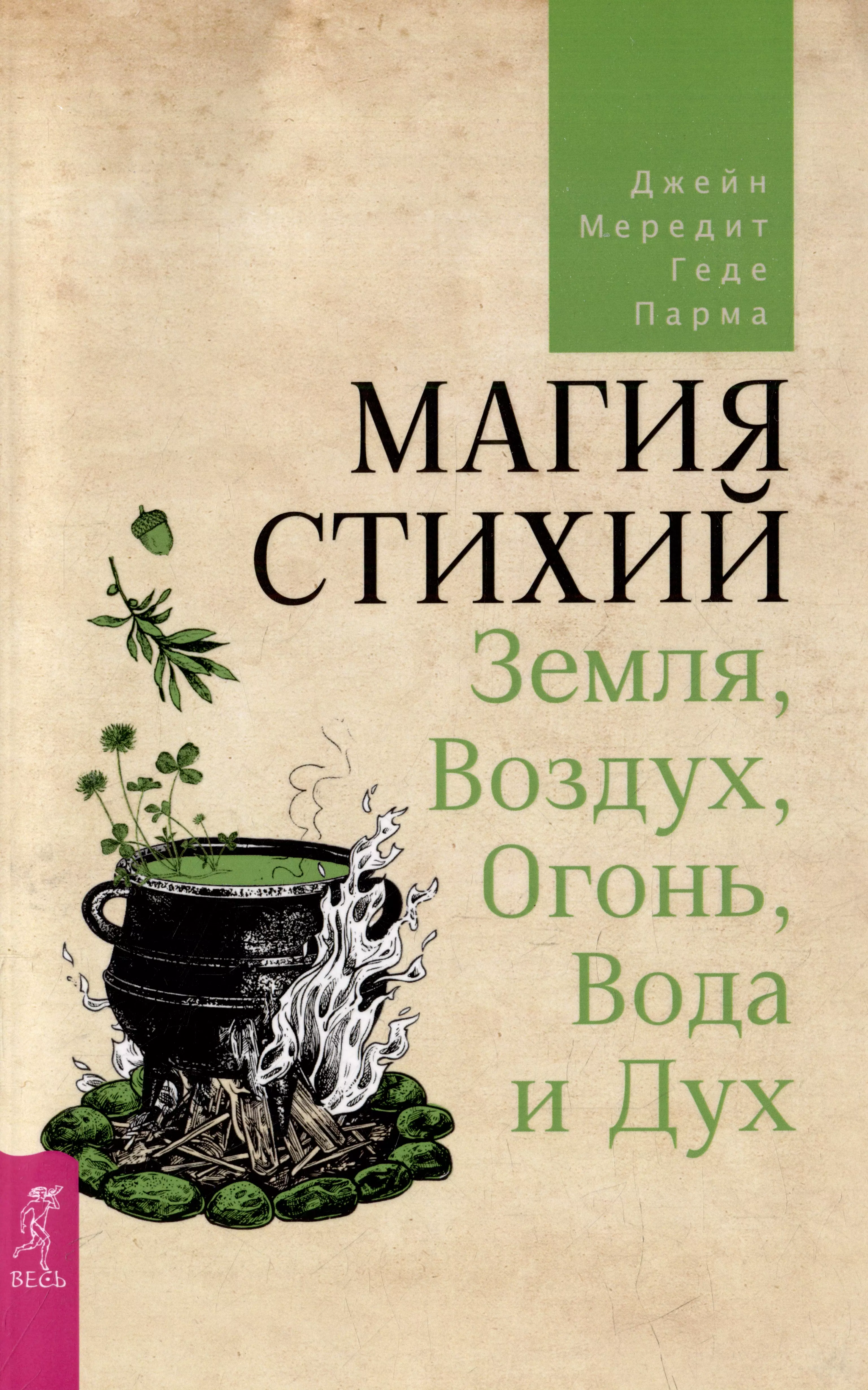 Книга стихий. Магия стихий книги. Магия стихий земля воздух огонь вода и дух. Книги стихия земля. Книга про стихии.